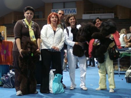 Israel Poodle expedition to the World Dog Show