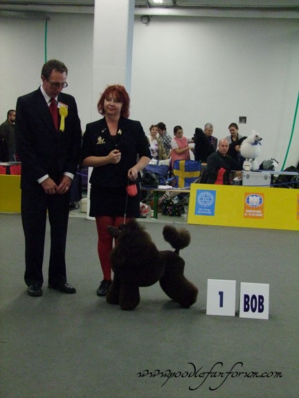 Coffee with Nataly & Judge at the world dog show